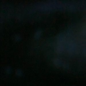 Meet your Posher, Riley